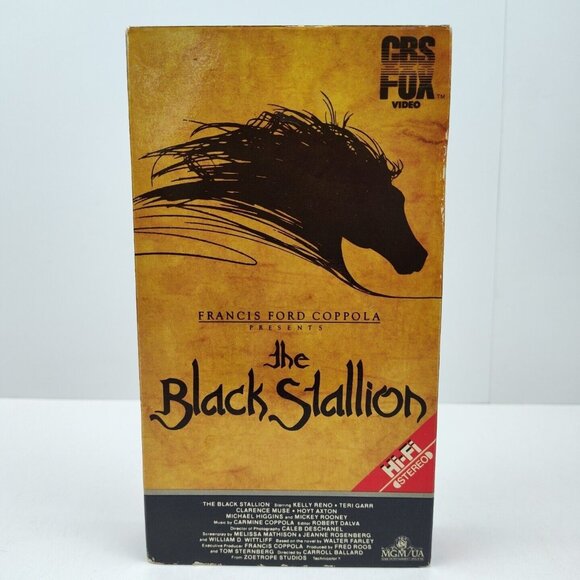 Lot Of (2) Vintage VHS Tapes Cassette Black Stallion Officer & Gentleman USED - Picture 5 of 8